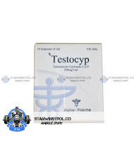 Testocyp (Testosterone Cypionate) 250mg/1ml 10amps, Alpha Pharma Testocyp (Testosterone Cypionate) 250mg/1ml 10amps, Alpha Pharma