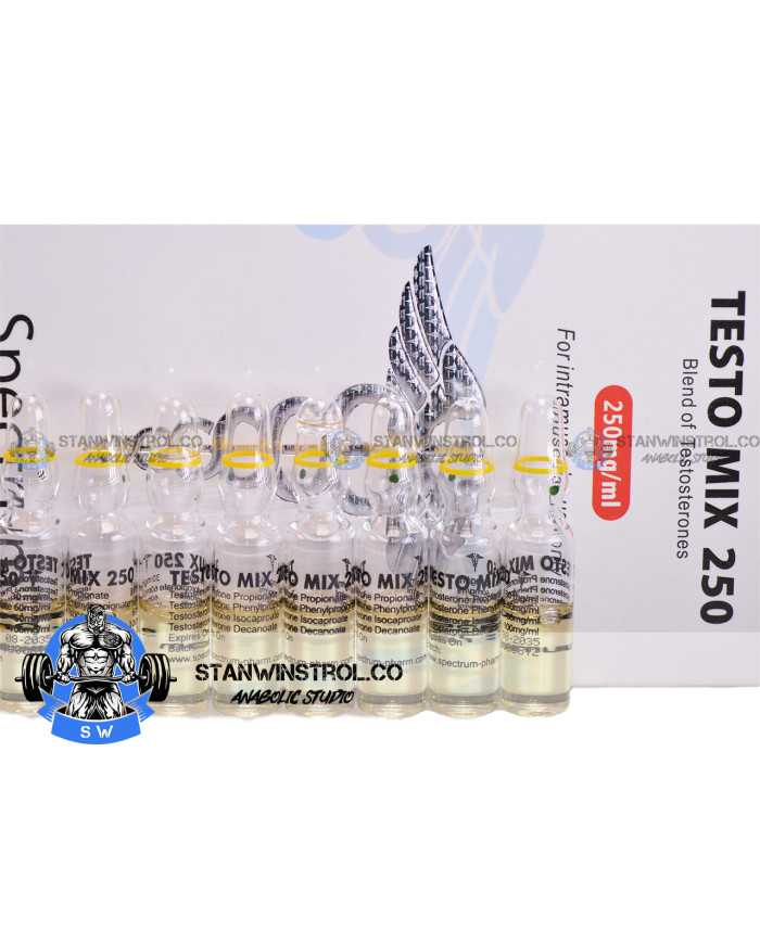 Testo Mix (Sustanon 250 - Testosterone blend) 250mg/1ml 10amps Spectrum Pharmaceuticals Testo Mix (Sustanon 250 - Testosterone blend) 250mg/1ml 10amps Spectrum Pharmaceuticals