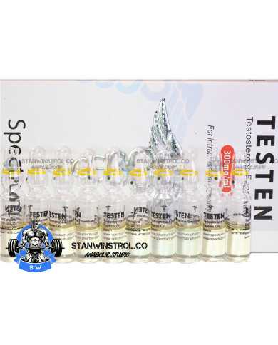 Testen (Testosterone Enanthate) 300mg/1ml 10amps Spectrum Pharma Testen (Testosterone Enanthate) 300mg/1ml 10amps Spectrum Pharma