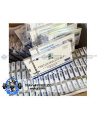 Testosterone Mix (Sustanon 250 - Testosterone blend) 250mg/1ml 10amps ZPHC Testosterone Mix (Sustanon 250 - Testosterone blend) 250mg/1ml 10amps ZPHC