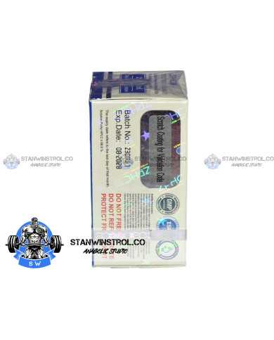 TESTOSTERONE UNDECANOATE (NEBIDO) 250MG/ML 30ML VIAL, ZPHC TESTOSTERONE UNDECANOATE (NEBIDO) 250MG/ML 30ML VIAL, ZPHC