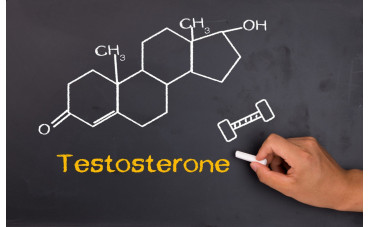 All About Testosterone All About Testosterone