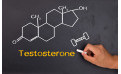 All About Testosterone All About Testosterone